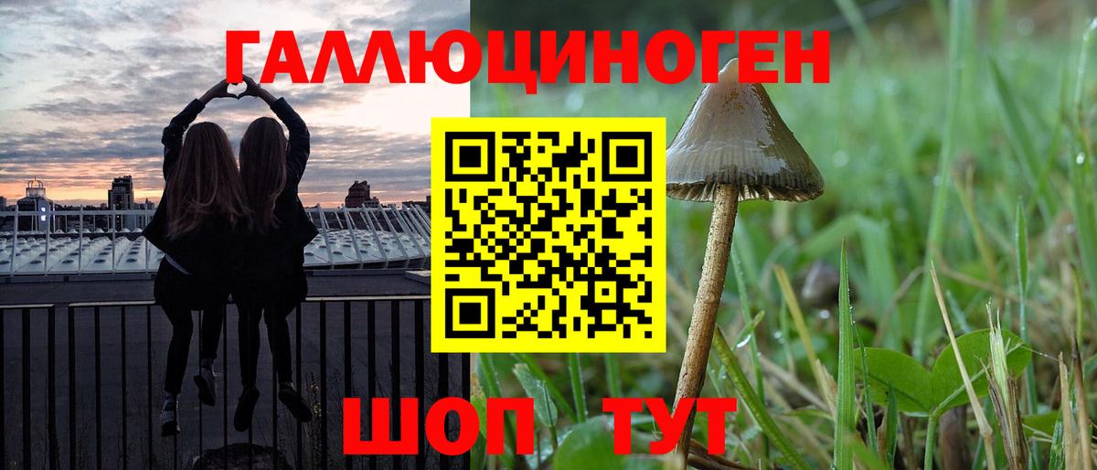 Пыть-Ях  Псилоцибиновые грибы мицелий  Вход с VPN 